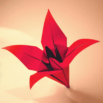 origami fiore lilla