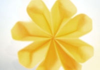 origami fiore con otto petali completo