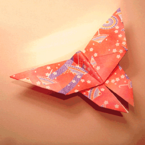 farfalla origami