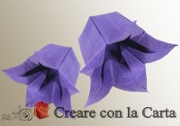 Campanula Origami